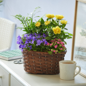 Product image of Beautiful Indoor Basket from Interflora