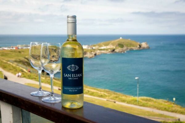 Product image of San Elian Sauvignon Blanc - 75cl from Devon Hampers