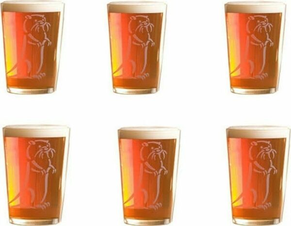 Product image of Set of Six Half Pint Otter Ale Glasses - Standard Box from Devon Hampers