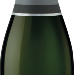 Product image of Bride Valley Blanc de Blancs Brut 2017 from 8wines