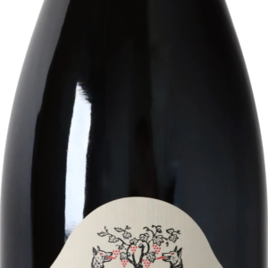 Product image of Geantet-Pansiot Bourgogne Pinot Fin 2021 from 8wines