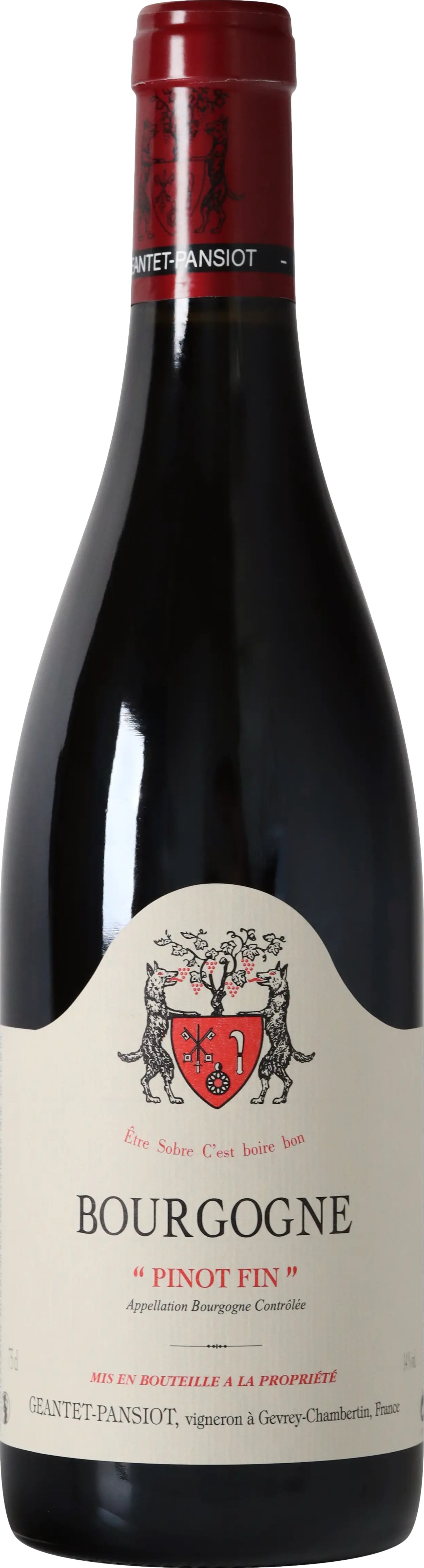Product image of Geantet-Pansiot Bourgogne Pinot Fin 2021 from 8wines