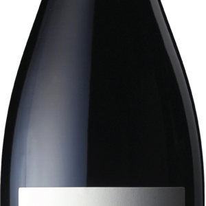 Product image of Terroir Al Limit Arbossar 2021 from 8wines