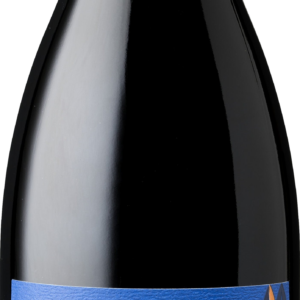 Product image of Baca Dusi Double Dutch Zinfandel 2020 from 8wines