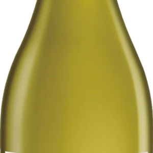 Product image of Bemberg La Linterna Parcela No. 1 Finca El Tomillo Chardonnay 2018 from 8wines