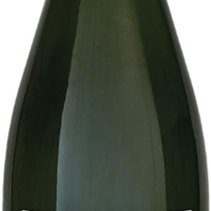 Product image of Champagne Apollonis Michel Loriot Authentic Meunier Blanc de Noirs from 8wines