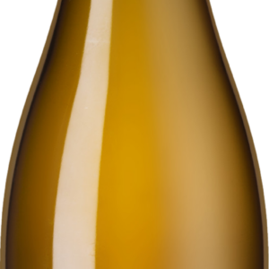 Product image of Champagne Jacquesson  Avize Champ Cain 2013 from 8wines