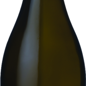 Product image of Champagne Nathalie Falmet Terra Extra Brut from 8wines