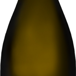 Product image of Champagne Nicolas Maillart Jolivettes Grand Cru 2018 from 8wines