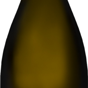 Product image of Champagne Nicolas Maillart Mont Martin 1er Cru 2017 from 8wines