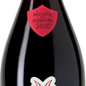 Product image of Chateau de Marsannay Rouge 2020 from 8wines
