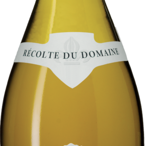 Product image of Chateau de Meursault Savigny les Beaune Blanc 2021 from 8wines