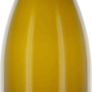Product image of Domaine Fournier Les Belles Vignes Sancerre Blanc 2022 from 8wines