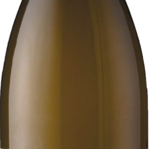 Product image of Domaine Jessiaume Bourgogne Aligote 2021 from 8wines