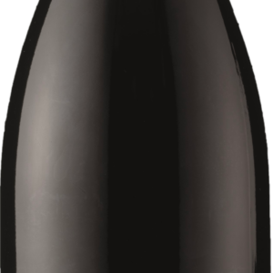 Product image of Domaine Jessiaume Santenay Premier Cru Les Gravieres Numerus Clausus 2021 from 8wines