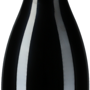 Product image of Domaine des Roches Neuves Saumur-Champigny La Marginale 2022 from 8wines