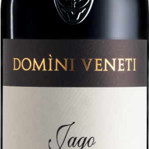 Product image of Domini Veneti Vigneti di Jago Amarone della Valpolicella Classico 2017 from 8wines