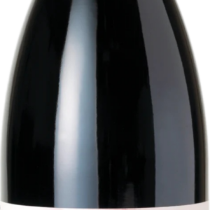 Product image of Gaja Idda Etna Rosso 2020 from 8wines