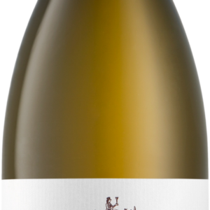 Product image of Glenelly Estate Reserve Chardonnay 2021 from 8wines