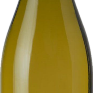 Product image of Jermann Pinot Grigio 2022 from 8wines