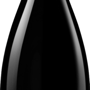 Product image of Pietradolce Etna Bianco 2022 from 8wines