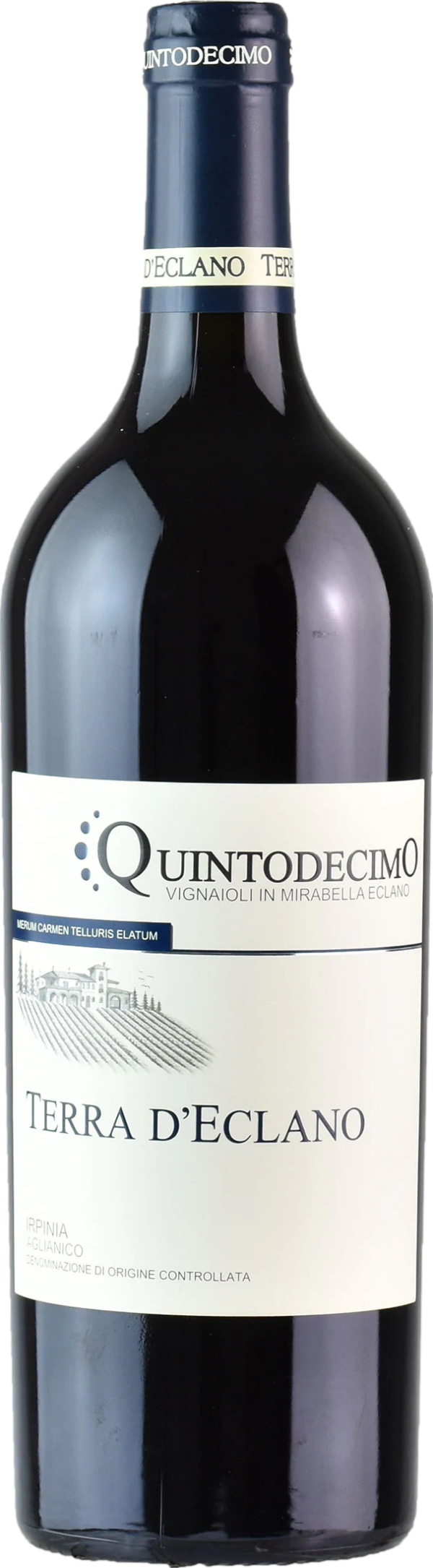 Product image of Quintodecimo Terra d'Eclano Aglianico 2020 from 8wines