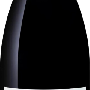 Product image of Raul Perez Ultreia Saint Jacques Mencia 2021 from 8wines