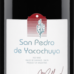 Product image of San Pedro de Yacochuya Red 2020 from 8wines