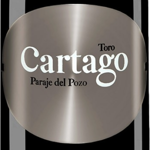Product image of San Roman Cartago Paraje de Pozo Toro 2017 from 8wines