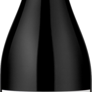 Product image of Standish The Relic Shiraz 2021 from 8wines