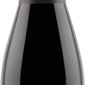 Product image of Uberti Franciacorta Sublimis 2016 from 8wines