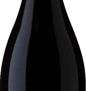Product image of Villard Grand Vin Pinot Noir 2020 from 8wines