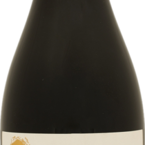 Product image of Vina von Siebenthal Carabantes Syrah 2020 from 8wines