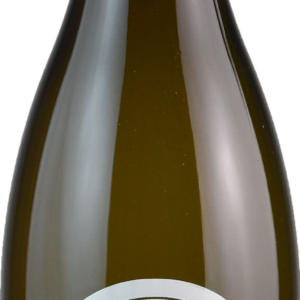 Product image of Domaine Charles Audoin Bourgogne Aligote 2021 from 8wines