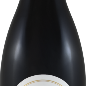 Product image of Domaine Charles Audoin Marsannay Cuvee Marie Ragonneau 2021 from 8wines