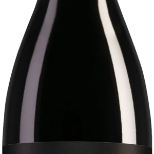Product image of Luis Seabra Xisto Cru Tinto 2021 from 8wines