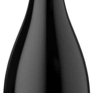 Product image of Tbilvino Saperavi 2021 from 8wines