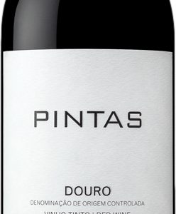 Product image of Wine & Soul Pintas Douro Tinto 2021 from 8wines