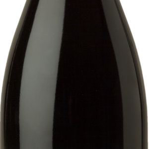 Product image of Kosta Browne Sonoma Coast Pinot Noir 2021 from 8wines