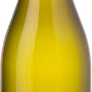 Product image of Seifried Nelson Sauvignon Blanc 2022 from 8wines
