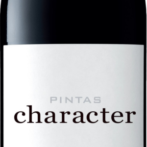 Product image of Wine & Soul Pintas Douro Character Tinto 2021 from 8wines
