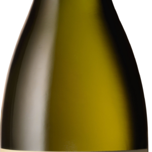 Product image of Clos de Gat Chardonnay 2021 from 8wines