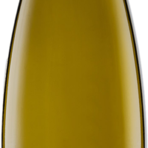 Product image of Livio Felluga Sauvignon Blanc 2021 from 8wines