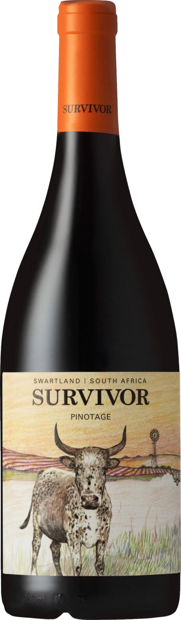 Product image of Survivor Pinotage 2021 from 8wines
