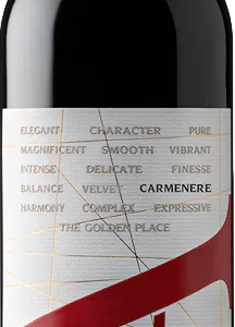 Product image of Vina Vik A Carmenere 2021 from 8wines