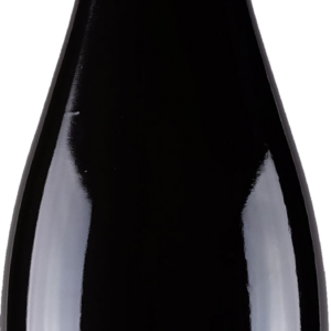 Product image of Champagne Larmandier Bernier Latitude Blanc de Blancs from 8wines