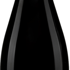 Product image of Champagne Larmandier Bernier Terre de Vertus Champagne Premier Cru 2017 from 8wines