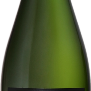 Product image of Champagne Michel Gonet Blanc de Blancs Grand Cru Coeur de Mesnil 2010 from 8wines