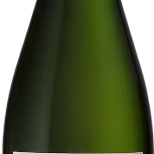 Product image of Champagne Michel Gonet Blanc de Blancs Grand Cru Mesnil Sur Oger 2015 from 8wines