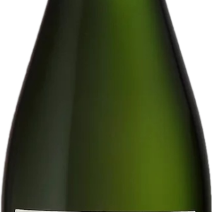 Product image of Champagne Michel Gonet Les 3 Terroirs Blanc de Blancs Grand Cru Extra Brut 2018 from 8wines